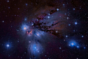 星座で, 星雲, NGC-2170, 反映する, ユニコーン