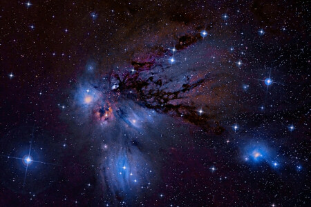 별자리에서, 성운, NGC-2170, 반영, 일각수