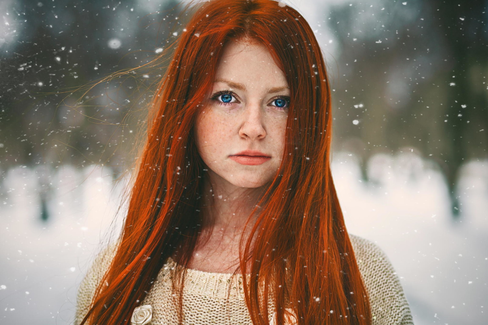 雪, 肖像, 红发女郎, 红色女孩