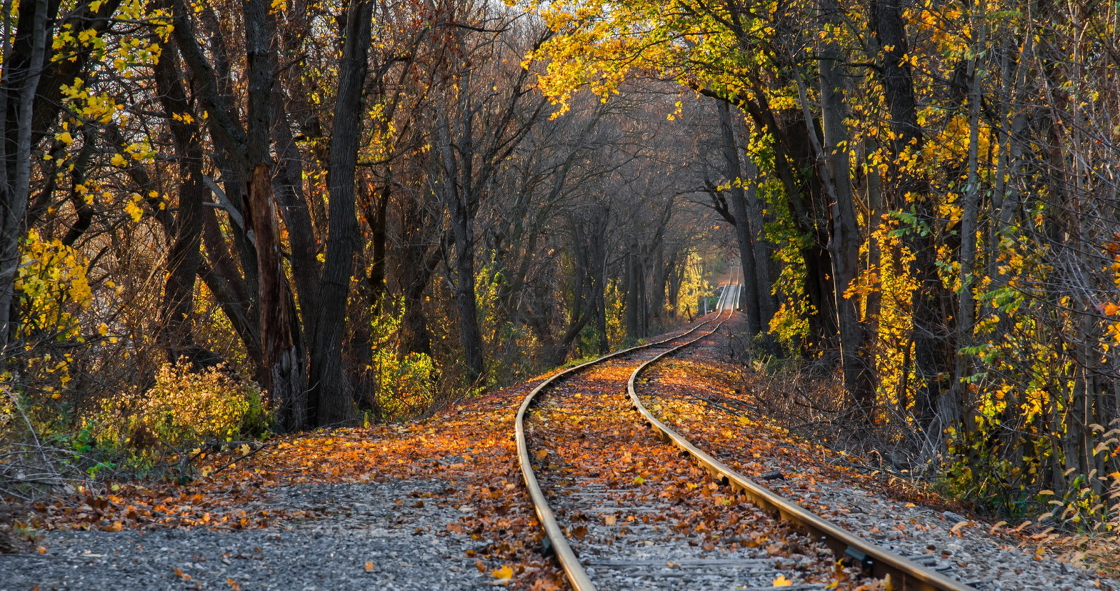 秋, 自然, 鉄道