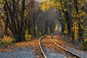 秋, 自然, 鉄道