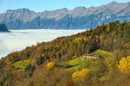 가을, 구름, 숲, 빈터, 하 슬리 버그, 집, 산, 스위스
