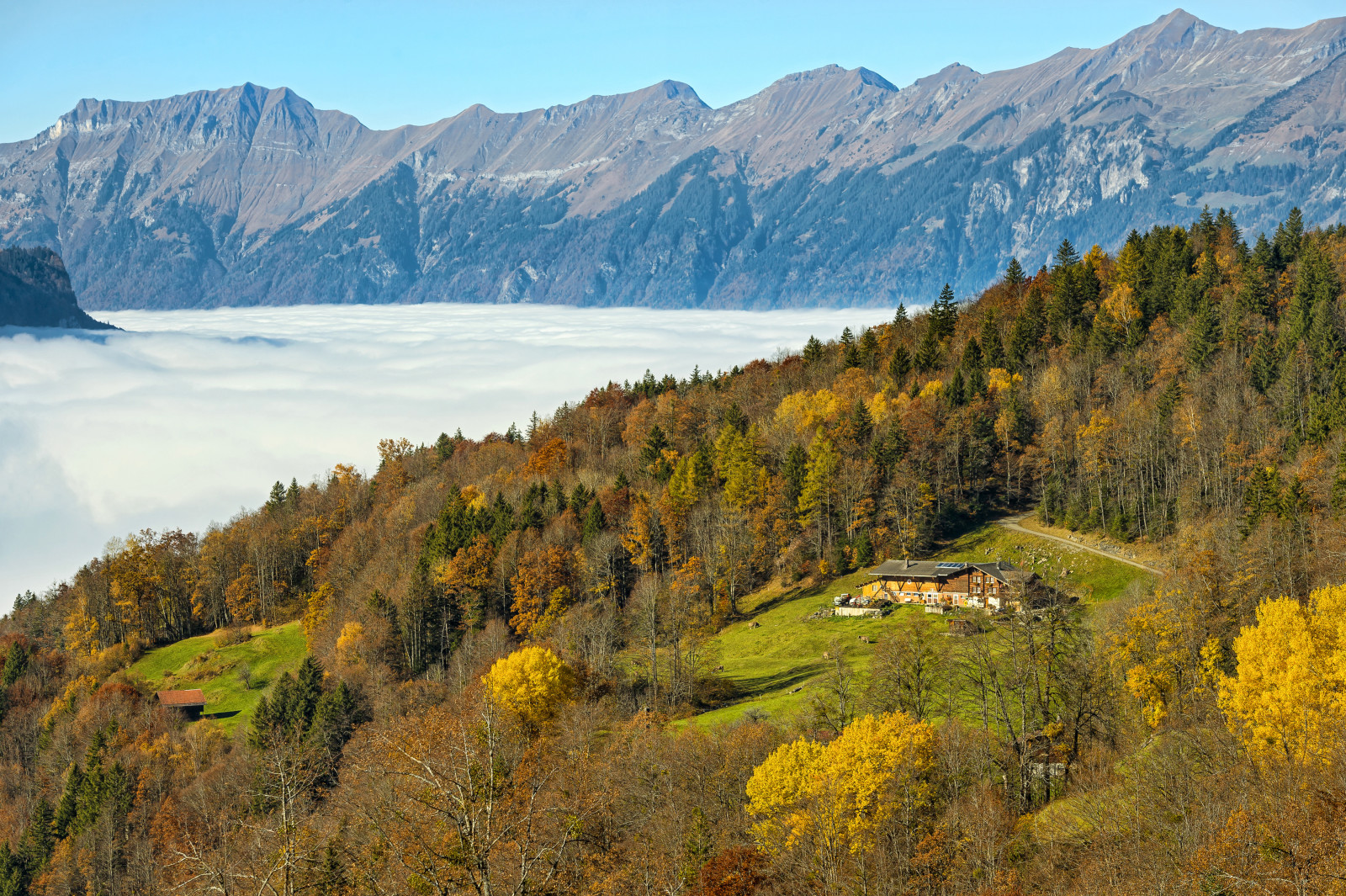 秋, 森林, 家, スイス, 木, 雲, 山, 空き地
