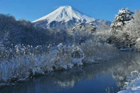 富士山, 日本, 山, 自然, 川, 雪, 空, 木