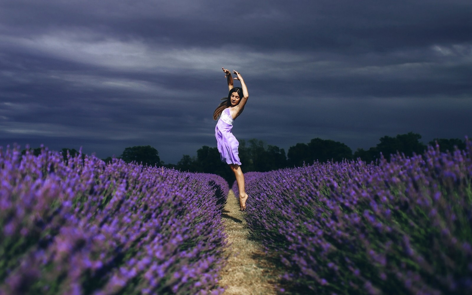 suasana hati, gadis, bidang, bunga-bunga, lavender, menari, melompat