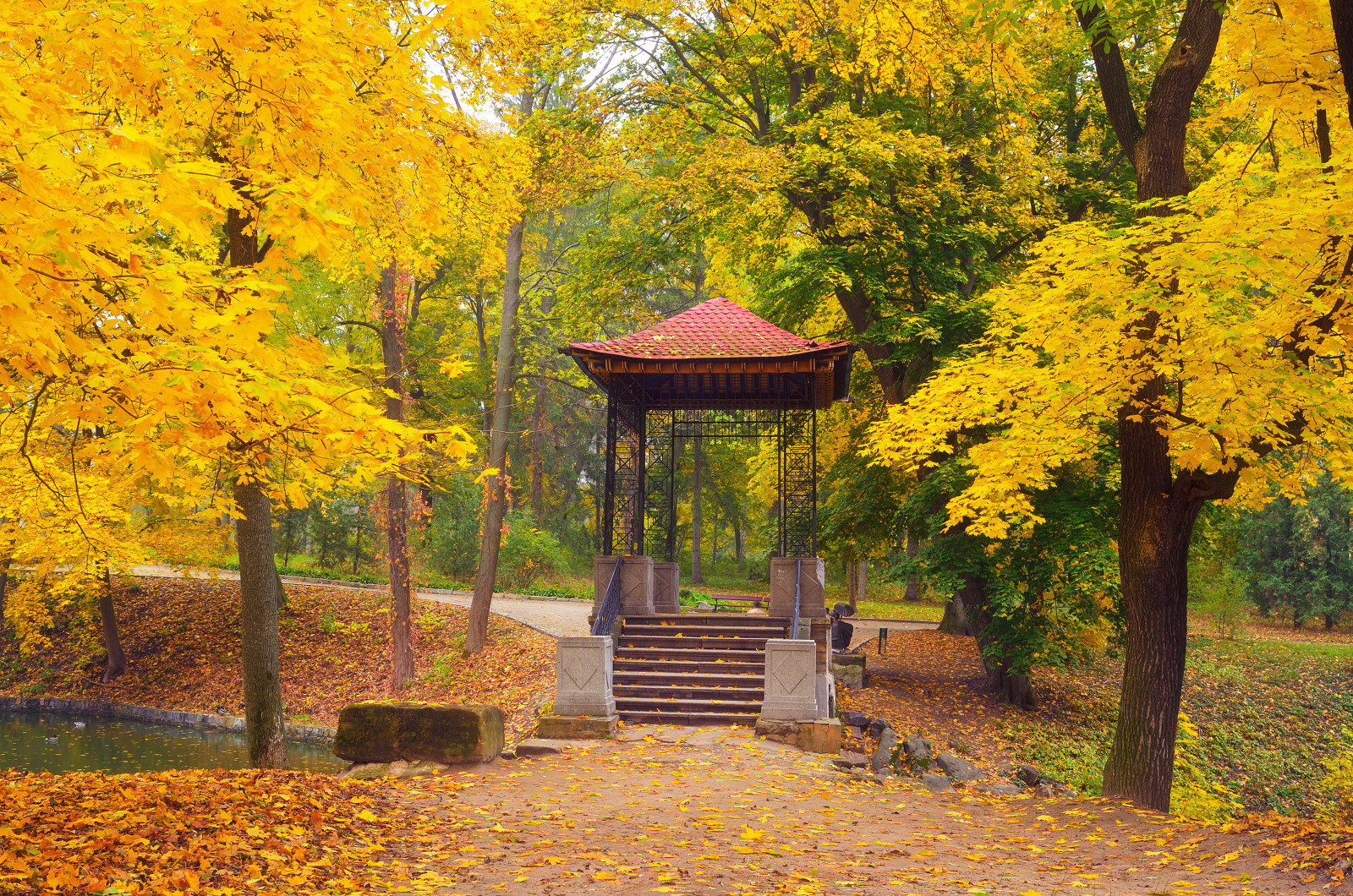 秋季, 公园, 树木, 树叶, 凉亭