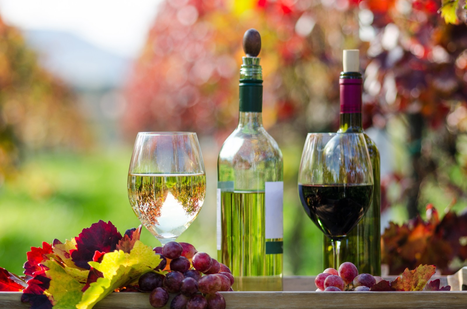 秋季, 红色, 白色, 树叶, 葡萄酒, 眼镜, 瓶子, 葡萄