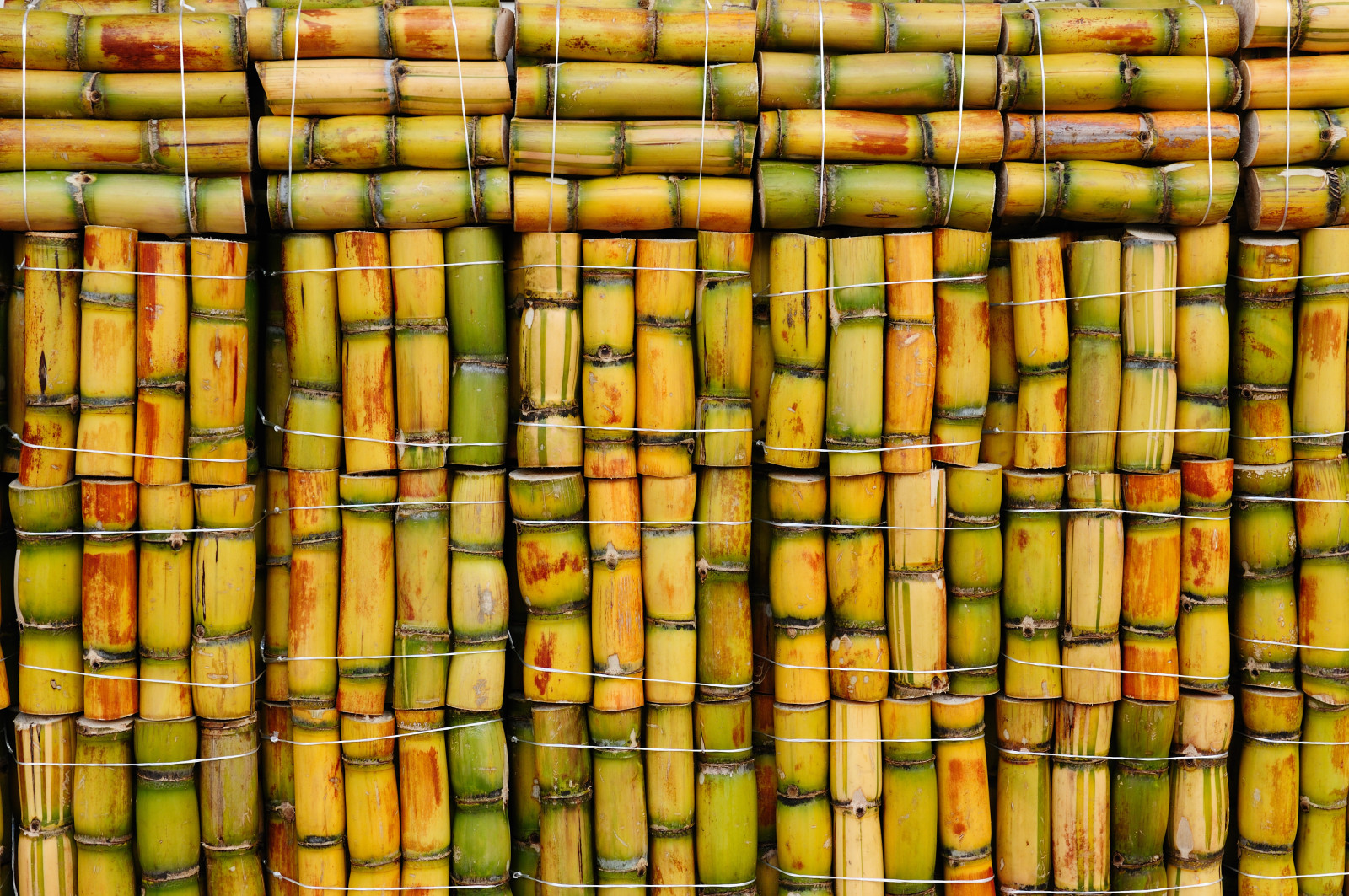 kayu, bambu, warna