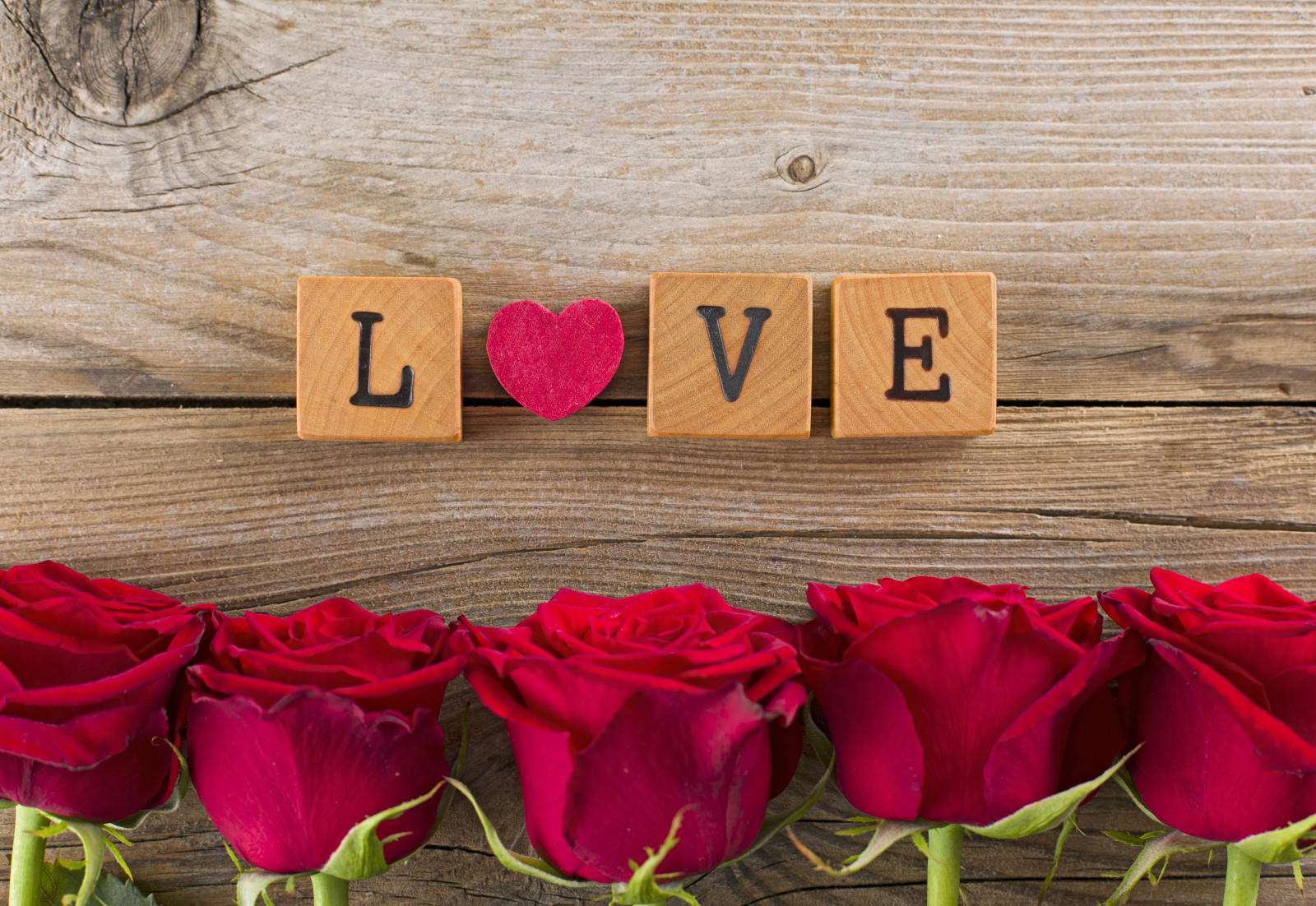 빨간, 사랑, 낭만적 인, 발렌타인 데이, 장미, 꽃들, 심장