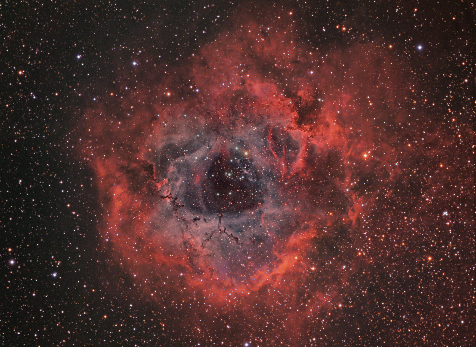 우주, 성운, 장미 매듭, 일각수, 별자리에서, 콘센트, NGC 2237