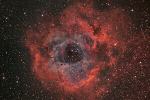 di rasi bintang, nebula, NGC 2237, toko, Hiasan berbentuk mawar, ruang, unicorn