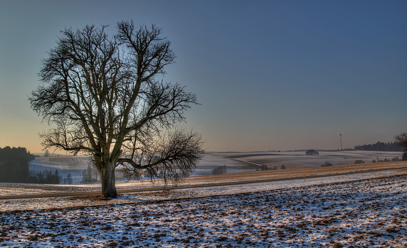 tuyết, cây, Thiên nhiên, mùa đông, đường, cánh đồng, hình chụp
