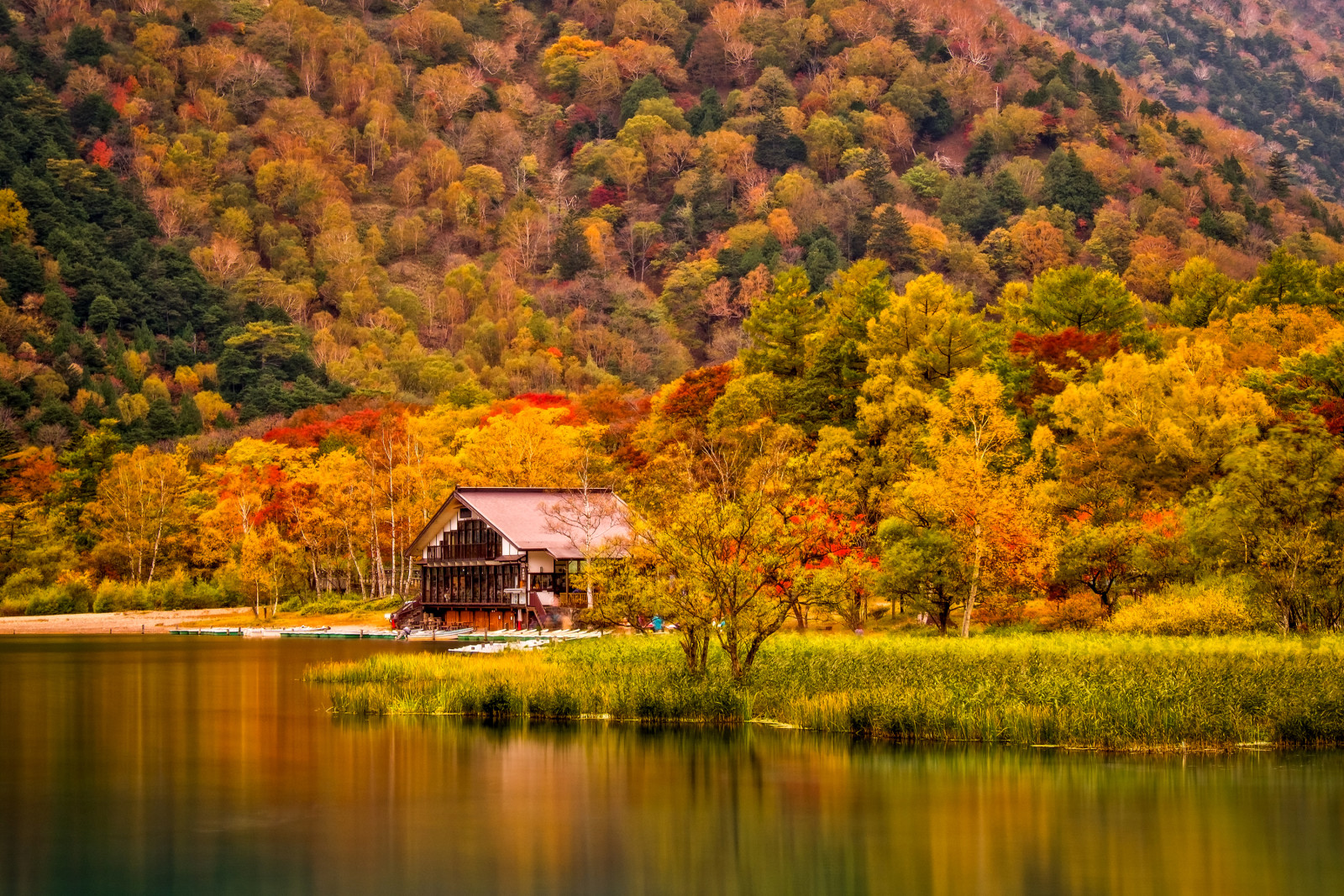 musim gugur, rumput, rumah, sungai, pantai, pohon, gunung