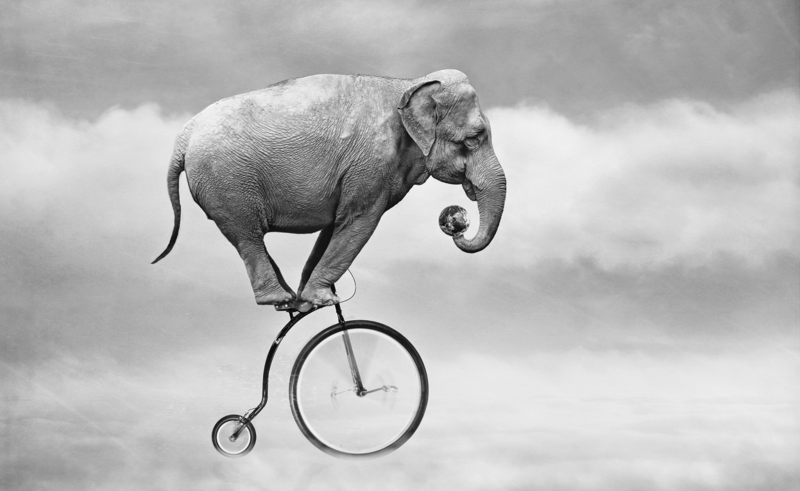 하늘, 자전거, 코끼리