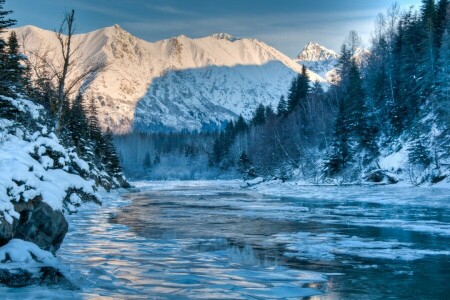 アラスカ, 森林, 風景, 山, 自然, 川, 冬
