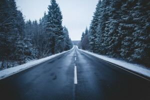 숲, 도로, 눈, 하늘, 나무, 겨울