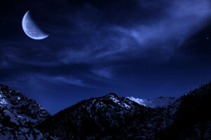 rừng, núi, đêm, tuyết, sao, Mặt trăng, bầu trời, cây