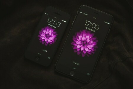 花, iphone 6, 画面, 接する