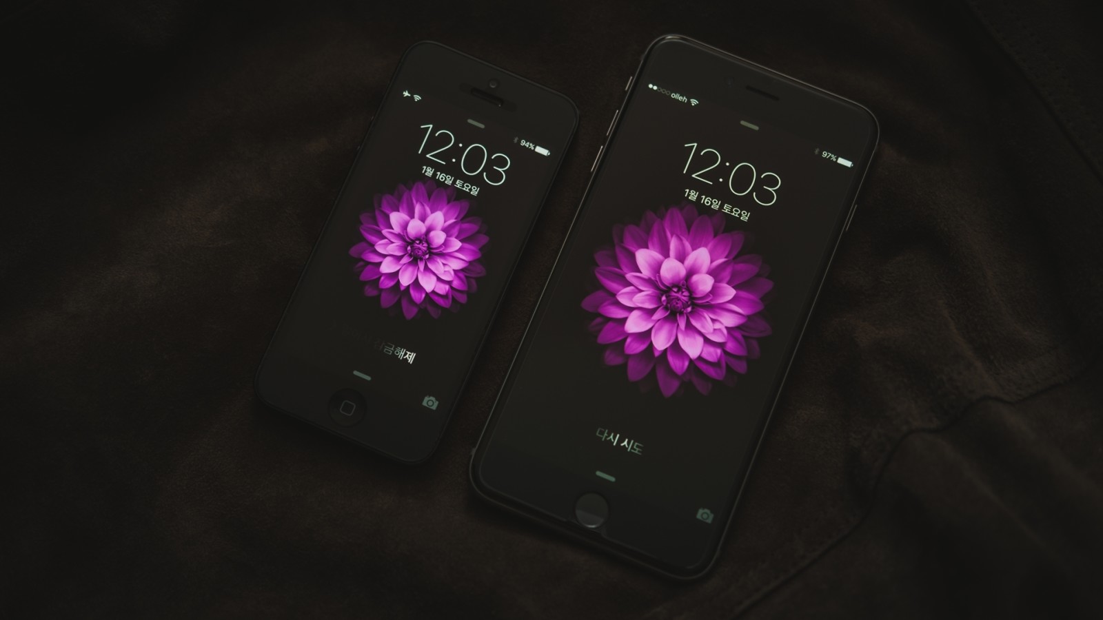 화면, 꽃, 접촉, 아이폰 6