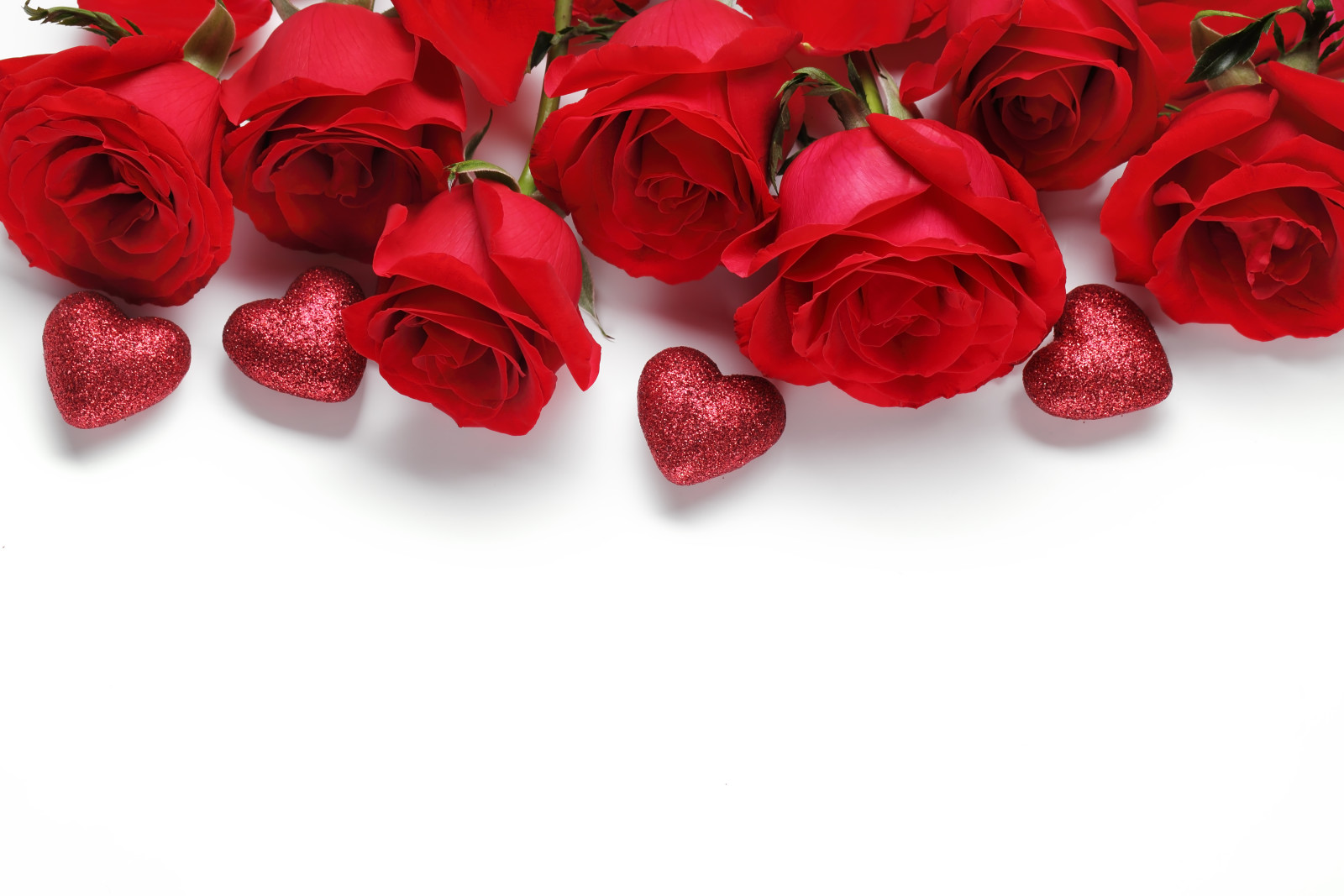 yêu và quý, lãng mạn, ngày lễ tình nhân, hoa hồng, tim