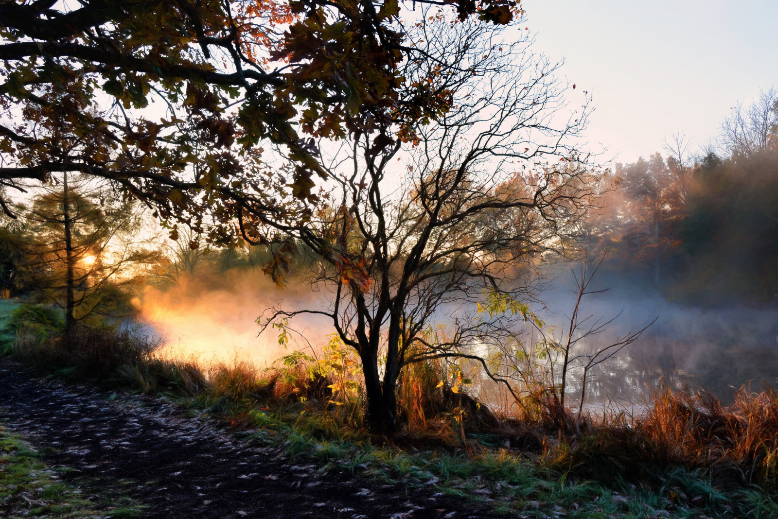 musim gugur, sungai, pagi, kabut