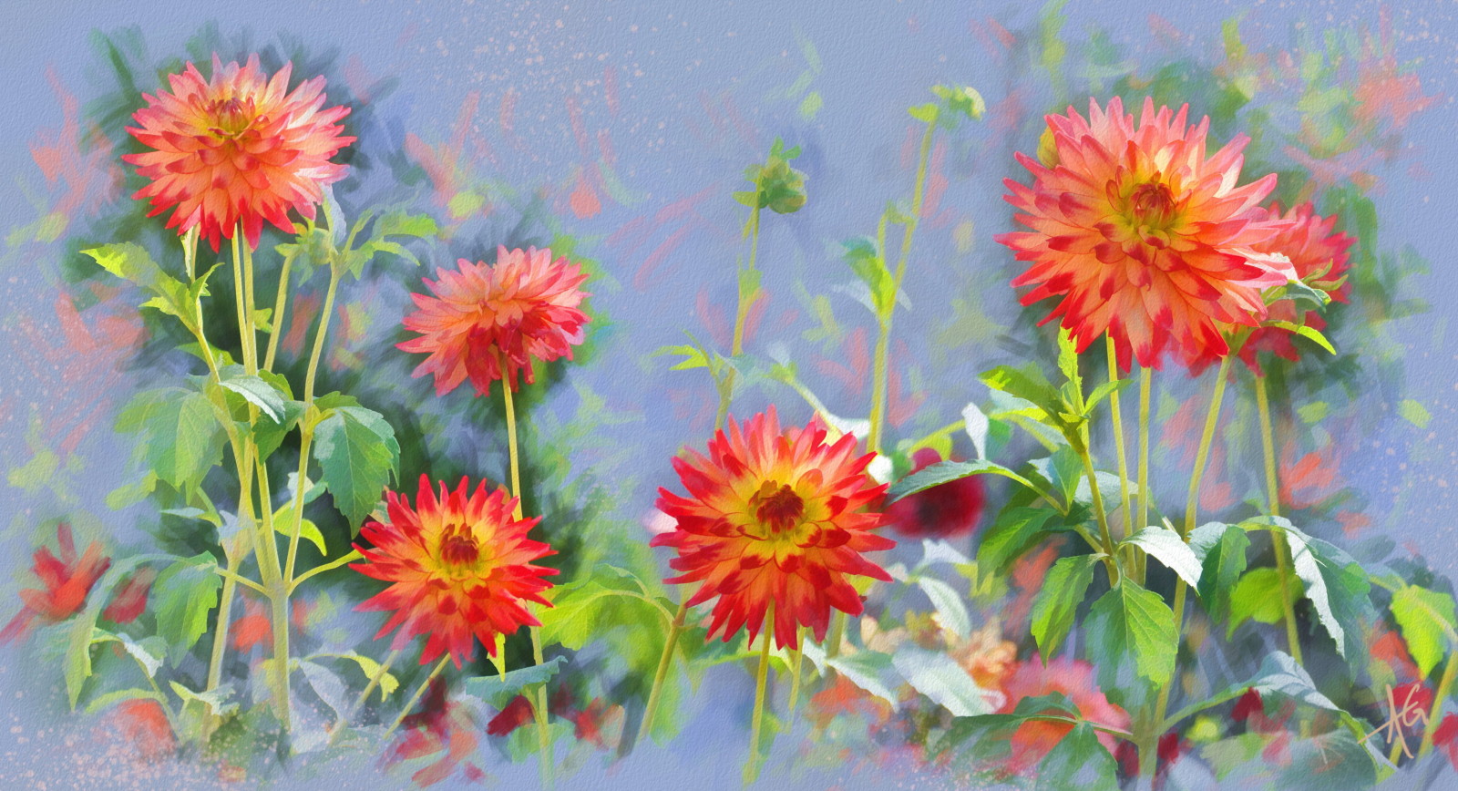 ดอกไม้, การวาดภาพ, dahlias