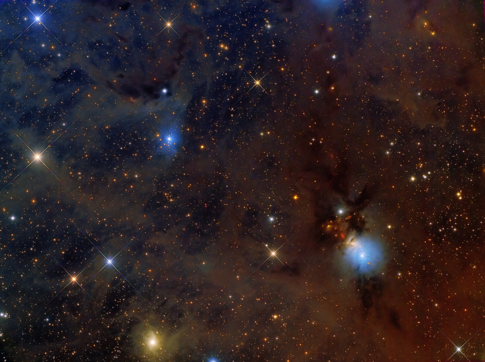 nebula, Perseus, di rasi bintang, mencerminkan, NGC1333