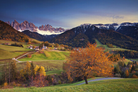 알프스 산맥, 가을, 집, 이탈리아, 산, 눈, 나무