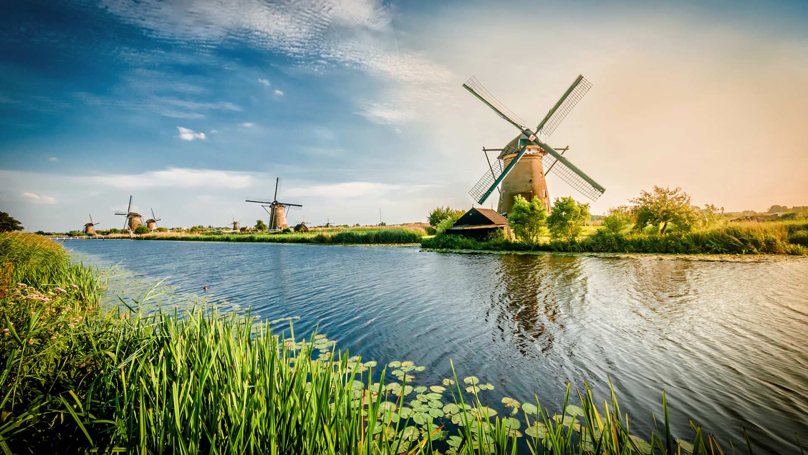 チャネル, 風車, オランダ, ロッテルダム
