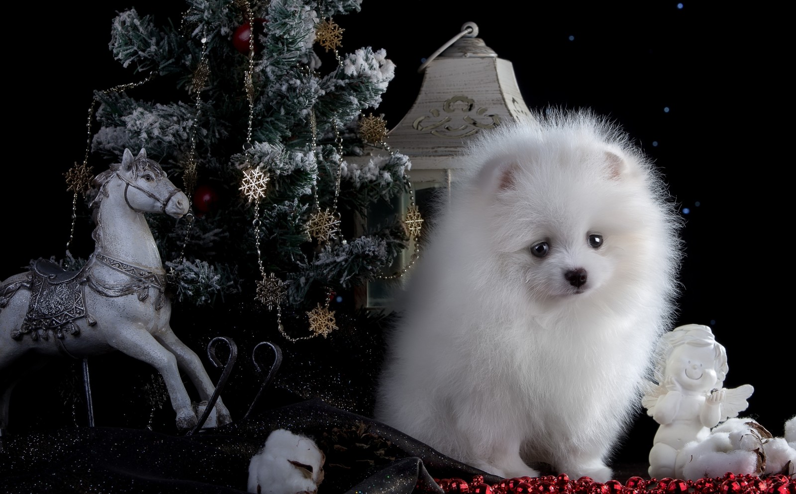 木, 新年, 子犬, うま, 白い, おもちゃ, 灯籠, 天使