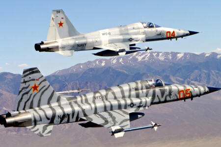 "자유의 전사", 전투기, 다목적, 노스 롭 F-5, 타이거 II