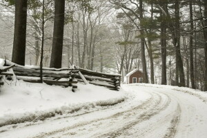 hutan, rumah, jalan, musim dingin