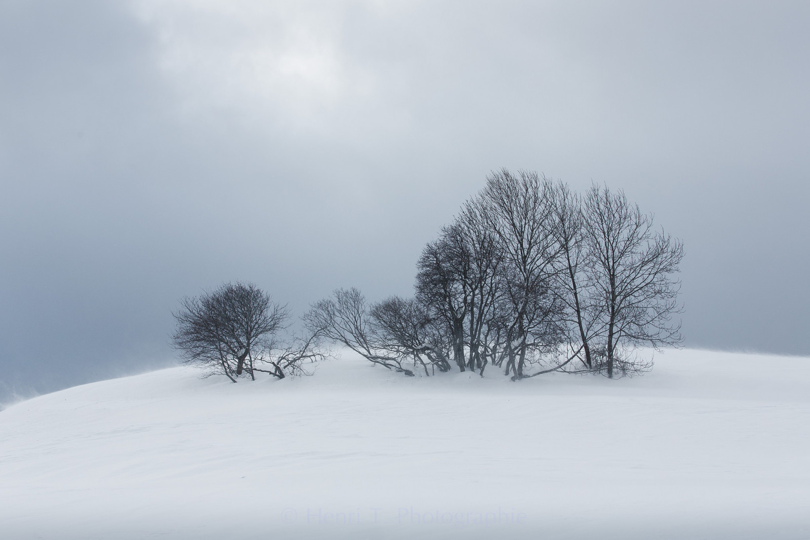 tuyết, Thiên nhiên, mùa đông, cây, sương mù