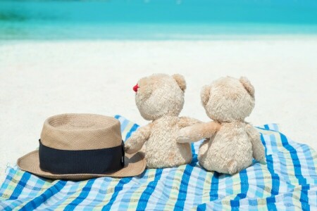 바닷가, 곰, 두, 귀엽다, 사랑, 쌍, 낭만적 인, 모래