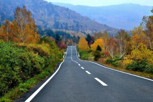 秋, 森林, 高速道路, 山, 道路, 木