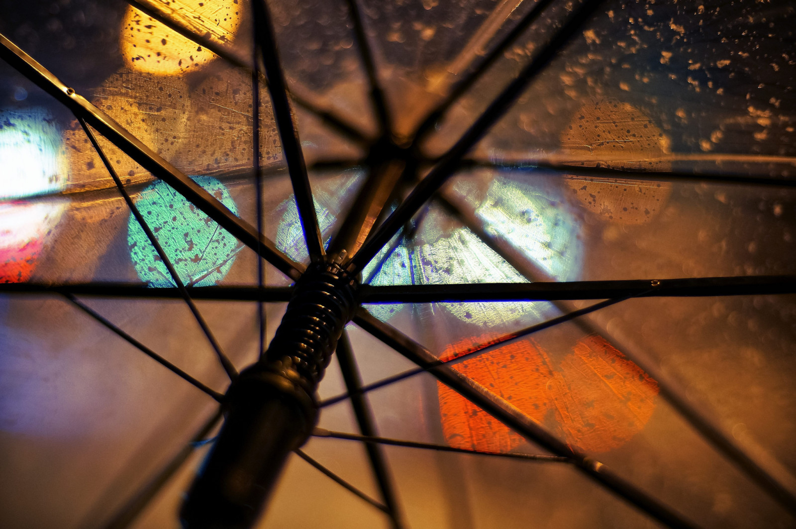 매크로, 비, 우산, 투명한