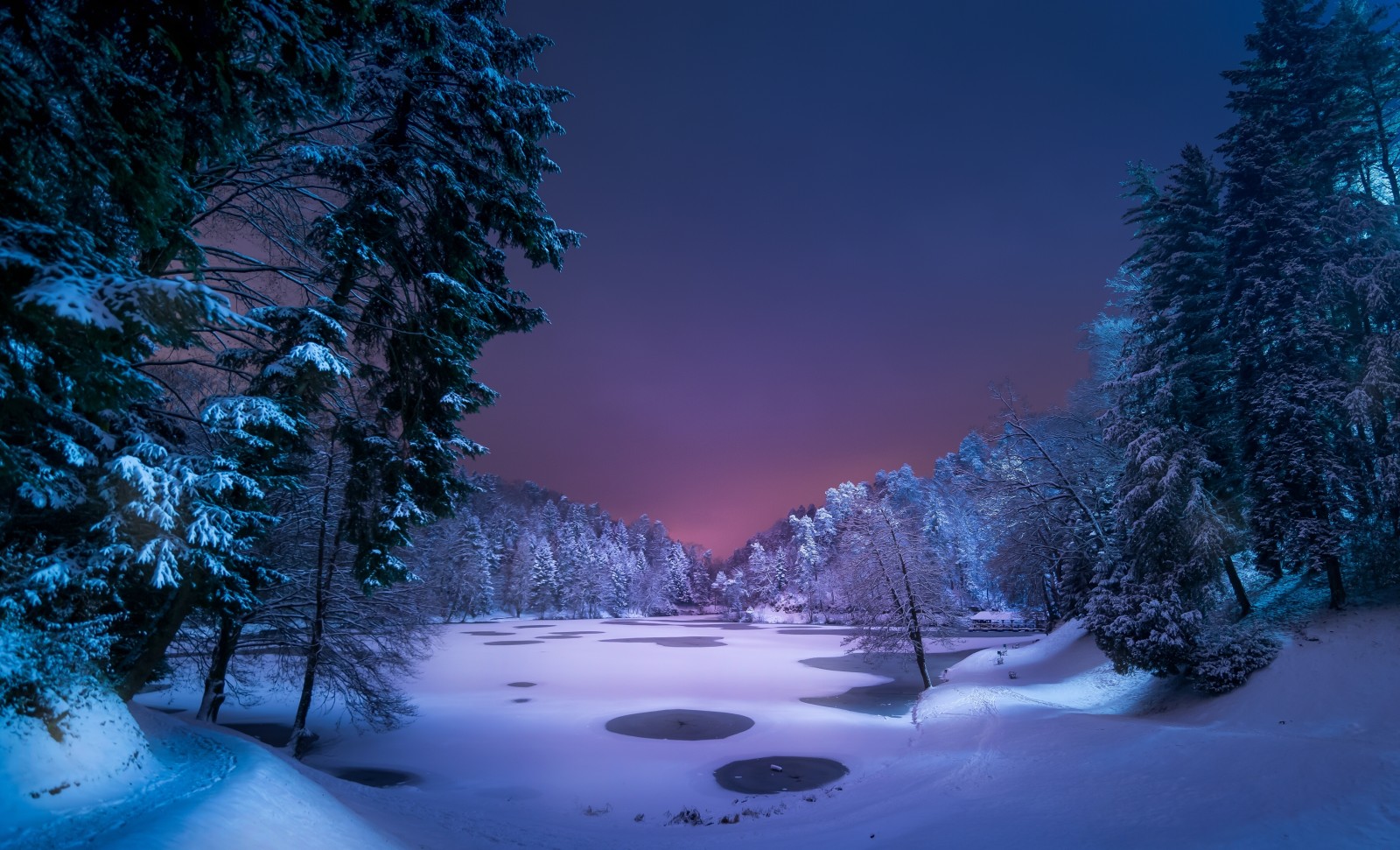 雪, 森林, 湖, 冬, 夜