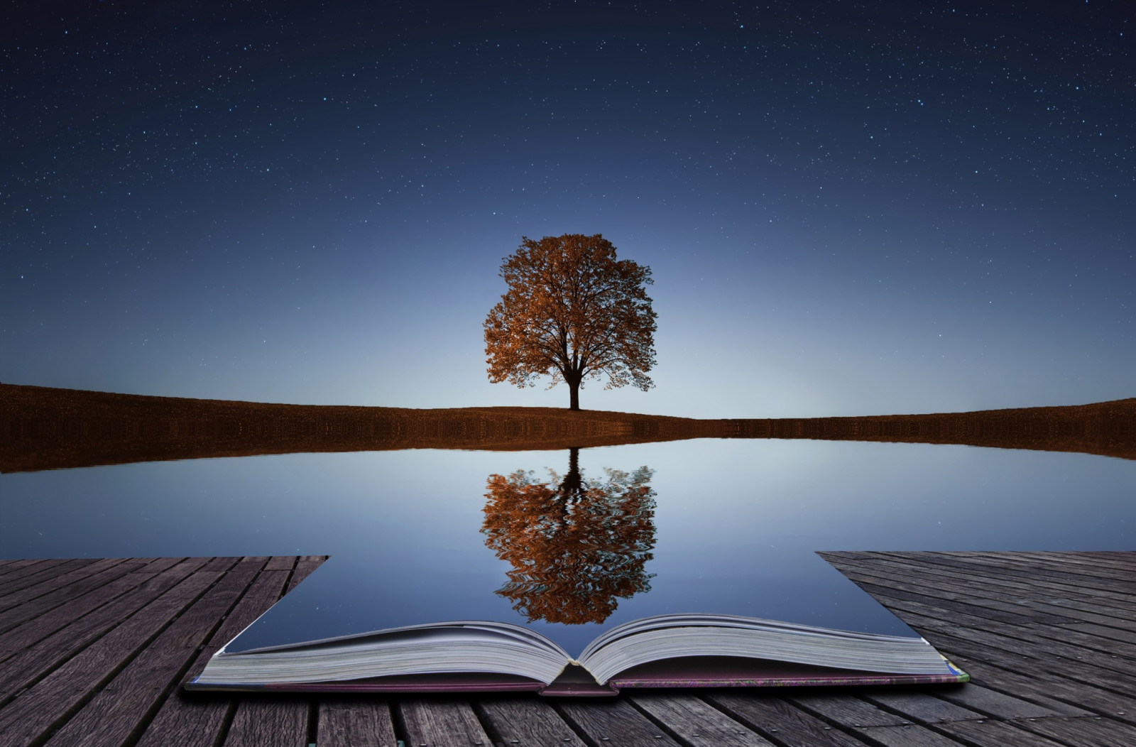 树, 反射, 水, 书