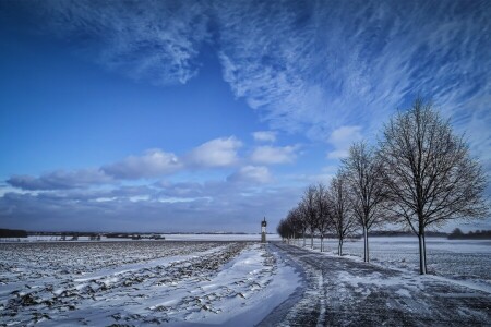 bidang, alam, jalan, musim dingin