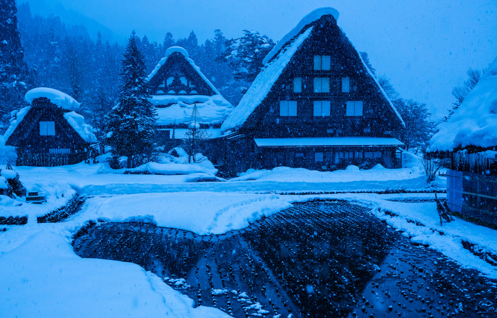 salju, rumah, musim dingin, Jepang, Shirakawa-go, Gokayama