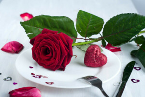bunga, jantung, hati, kelopak, piring, mawar, hari Valentine