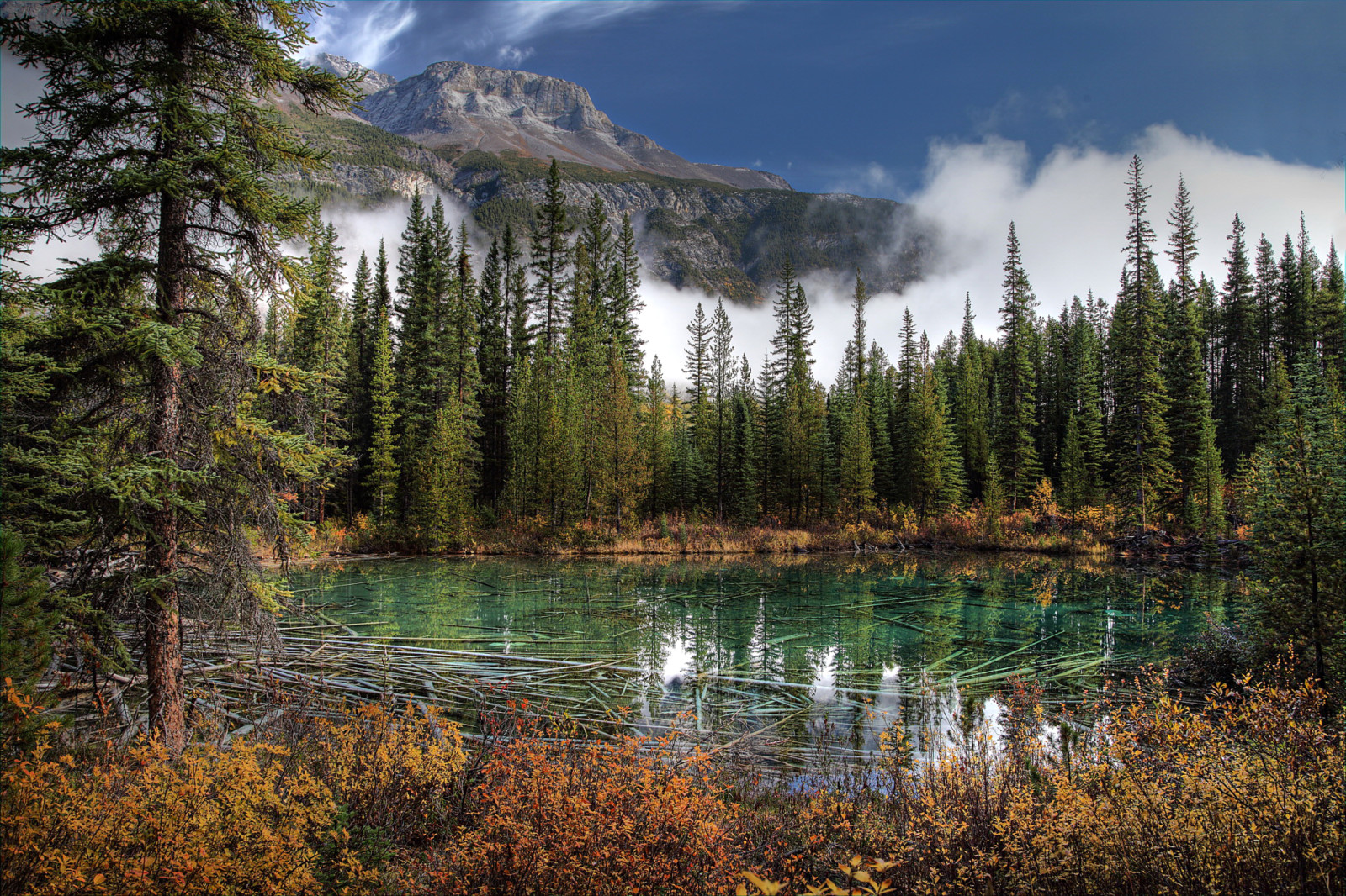 alam, Taman, danau, Kanada, gunung, foto, merapikan, Banff