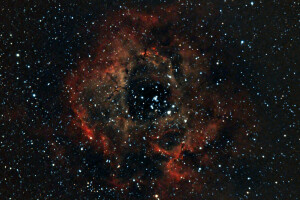 在星座中, 星云, NGC 2237, 出口, 玫瑰花结, 空间, 星星, 独角兽