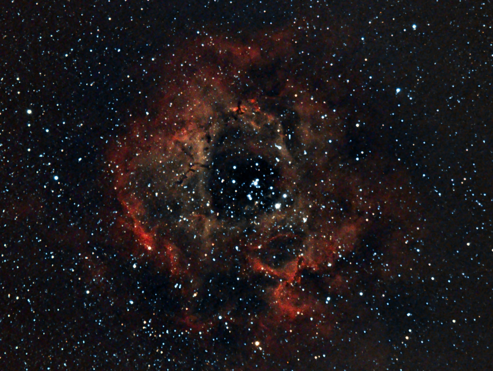 không gian, sao, tinh vân, Hoa hồng, con kỳ lân, trong chòm sao, ổ cắm, NGC 2237