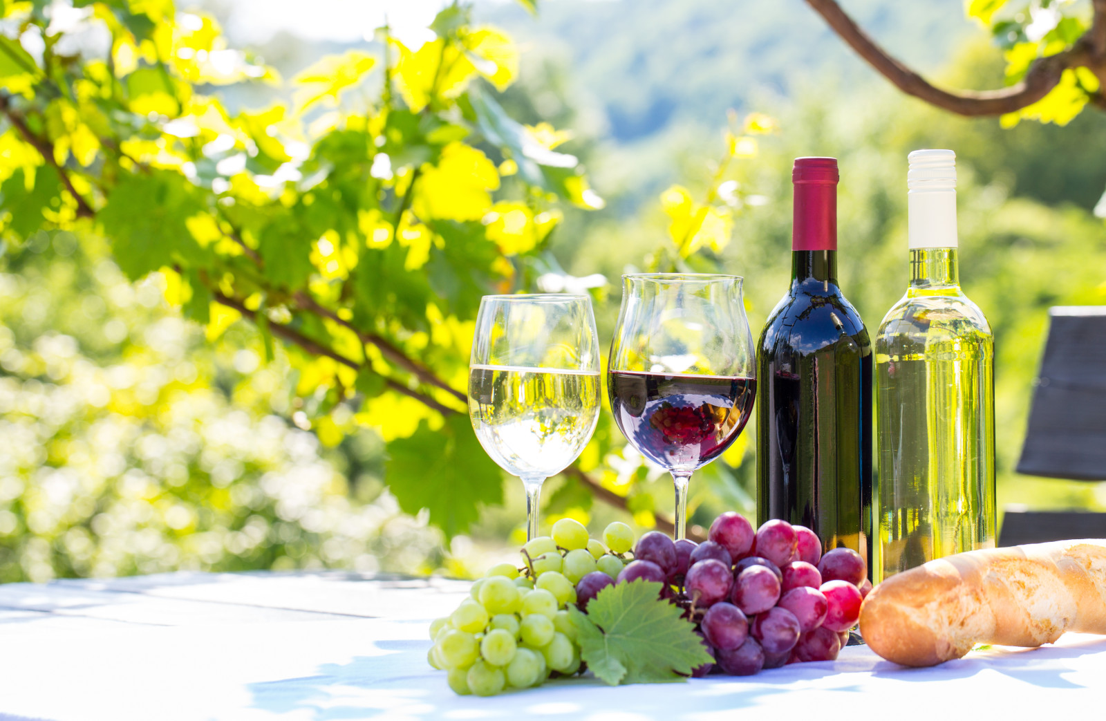 merah, putih, Daun-daun, anggur, kacamata, roti, anggur, tongkat