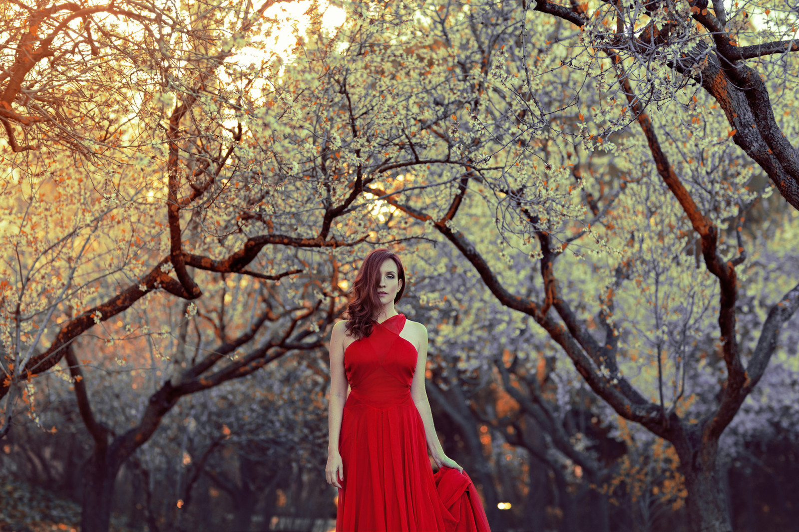 背景, 女孩, 样式, 连衣裙, 红色的