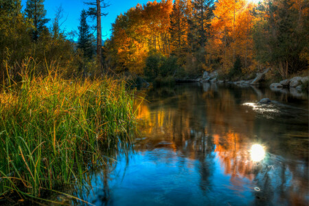 가을, 잔디, 호수, 돌, 하늘, 나무