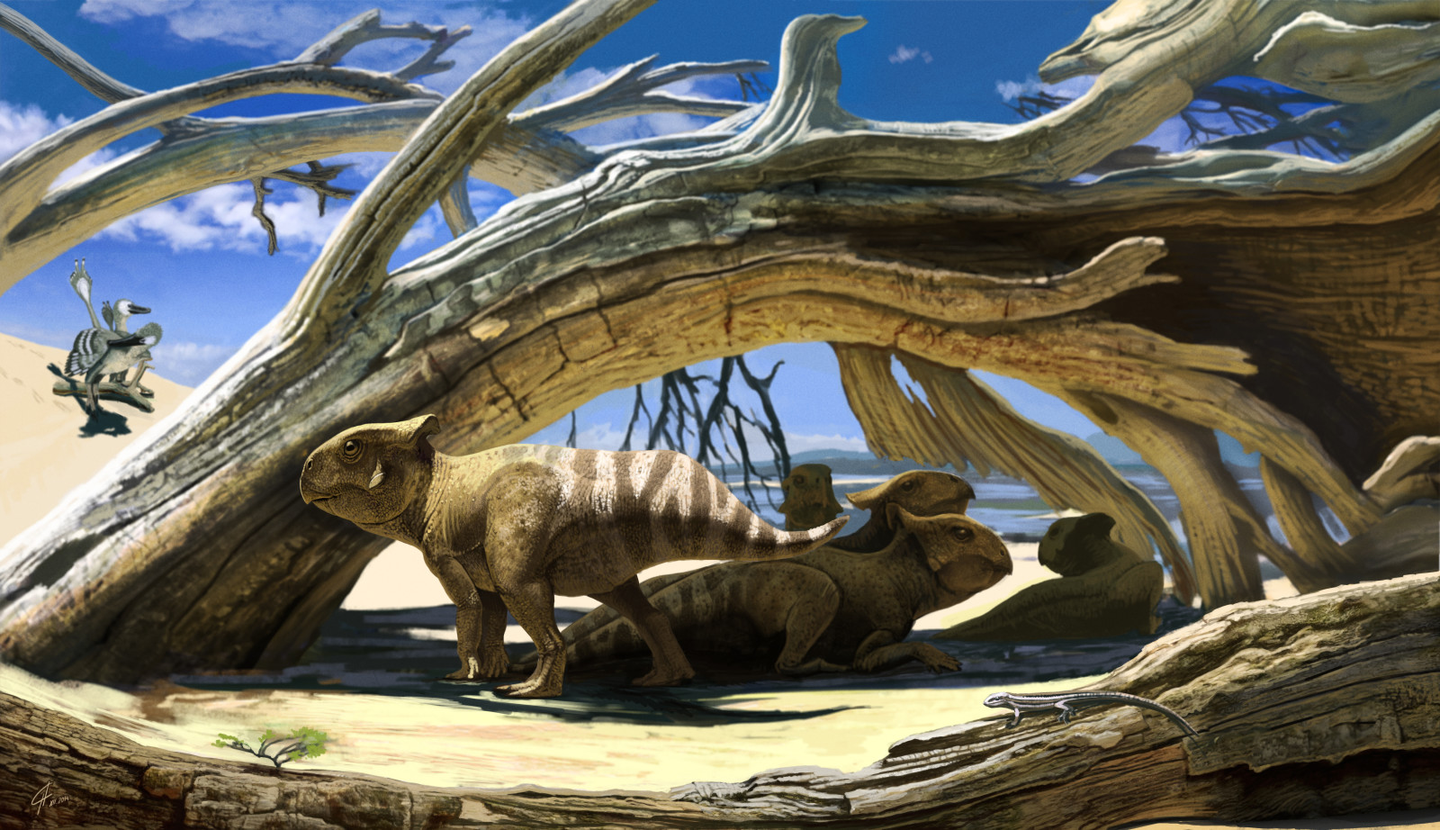 砂漠, 小さい, 恐竜, プロトケラトプス