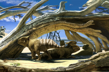 사막, 공룡, 프로토 케라톱스, 작은