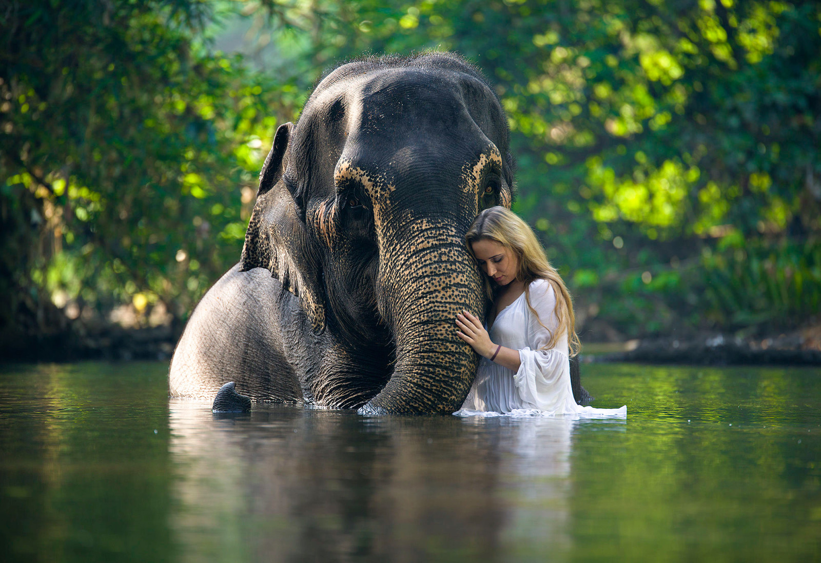 gadis, di dalam air, gajah